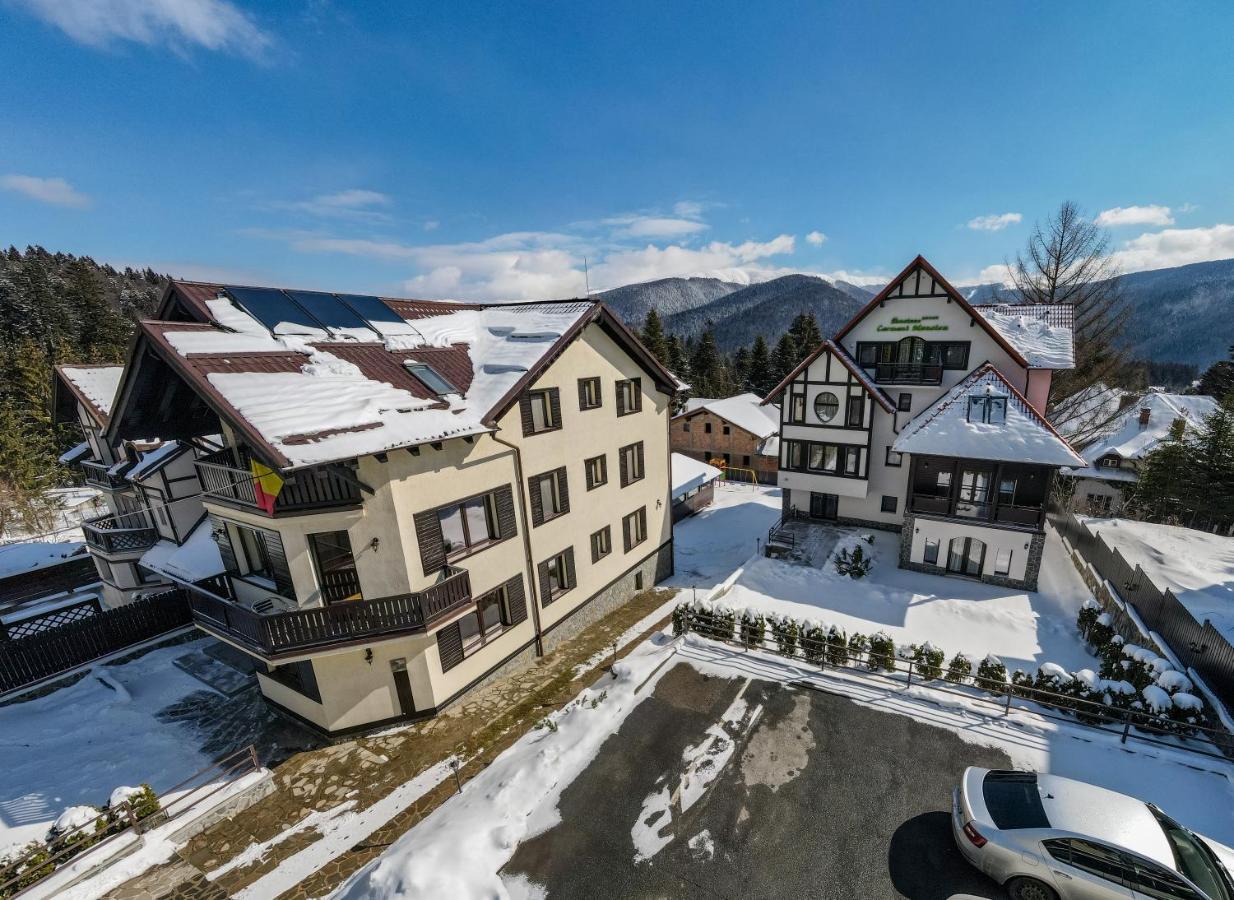 Pensiunea Carmen'S Mansion B 锡纳亚 外观 照片