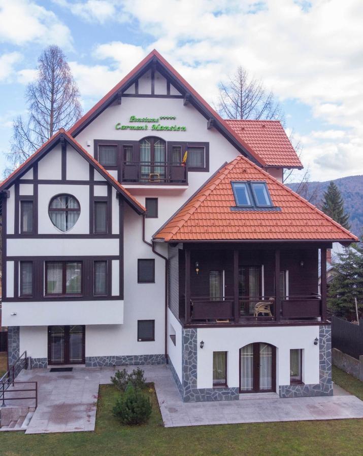 Pensiunea Carmen'S Mansion B 锡纳亚 外观 照片